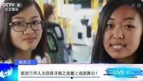 河南女孩爆料新闻报道最新,揭开校园霸凌背后的惊人真相