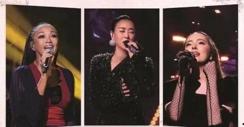 《歌手》在线观看,精彩对决，音乐盛宴不容错过！