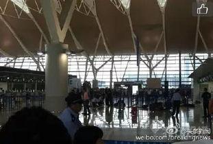上海浦东机场最新爆料 第3张 上海浦东机场最新爆料 第3张